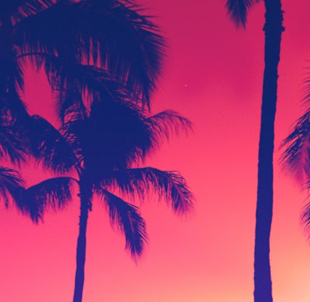 Meet your Posher, Rose